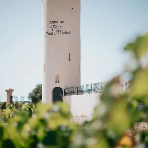 Domaine Tour Saint Michel: Familj, finess och kraft från Châteauneuf-du-Pape