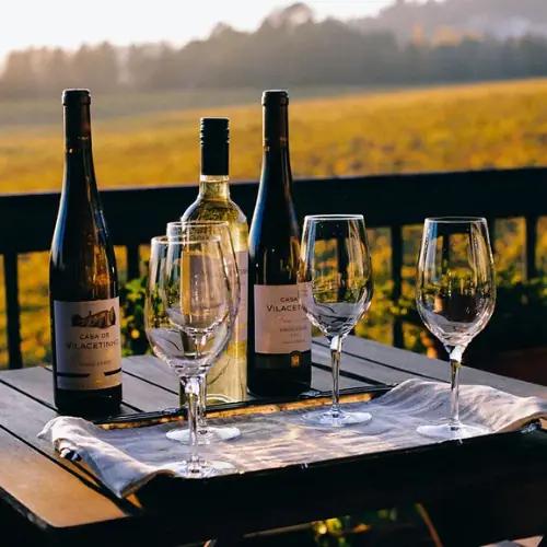 Casa de Vilacetinho: Viska­de vinrankor i Vinho Verdes hjärta