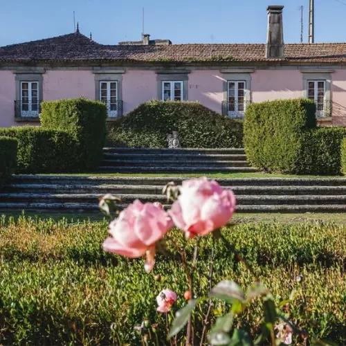 Casa de Vilacetinho: Viska­de vinrankor i Vinho Verdes hjärta