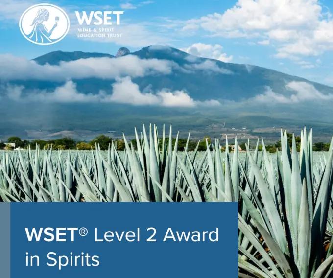 Efterlängtad WSET:s utbildning på Spritmuseum