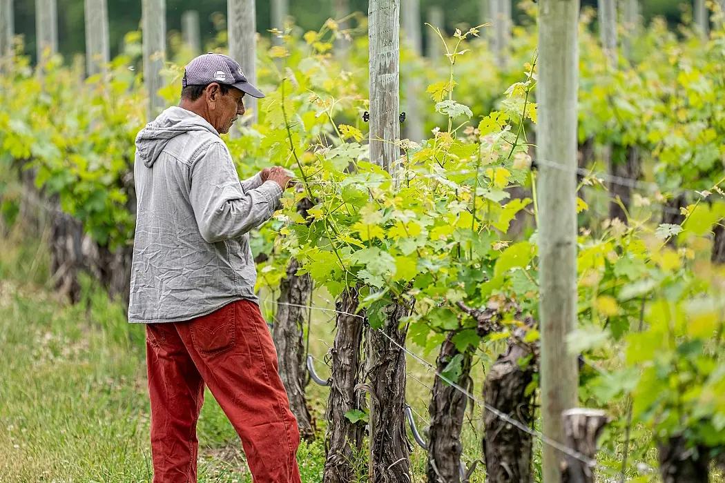 Nya regioner - omslagsbild