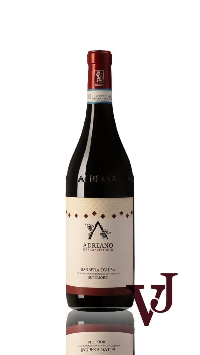 Barbera D’Alba Superiore, 2021 Rött vin från Barbera d'Alba