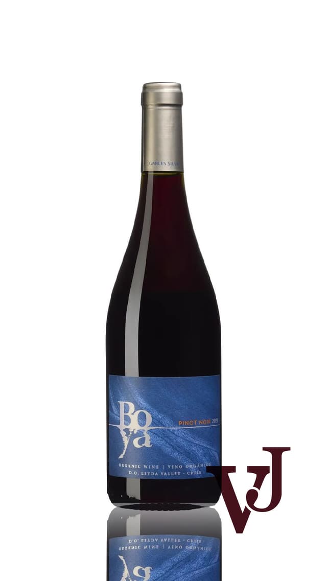 Boya Pinot Noir, 2023 Rött vin från Aconcagua