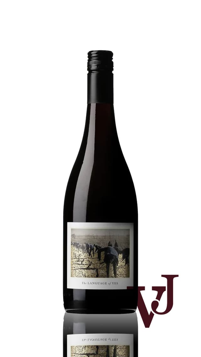 Language of Yes Grenache, 2022 Rött vin från Central Coast