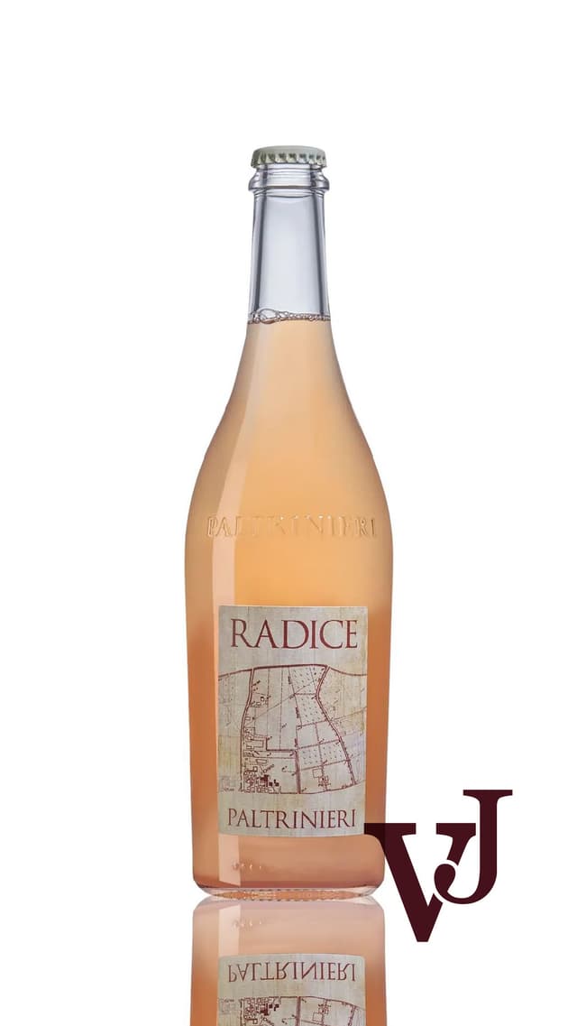 Paltrinieri Radici, 2023 Rött vin från Emilia Romagna