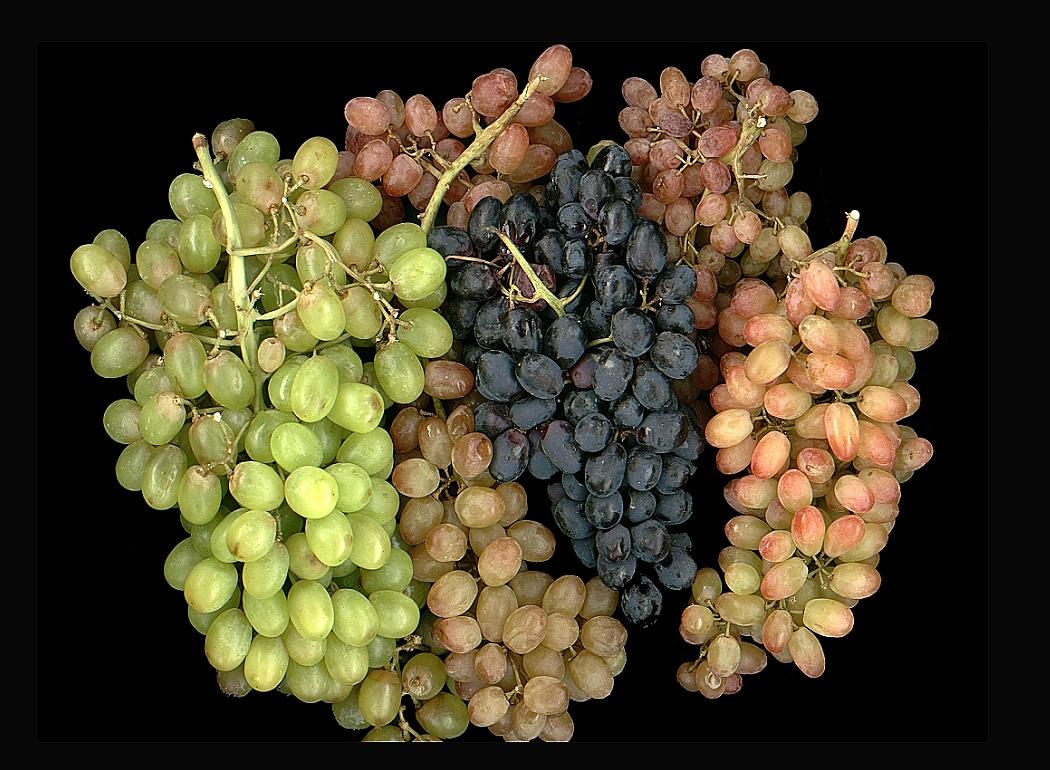 Come-back-druvor att hålla ögonen på