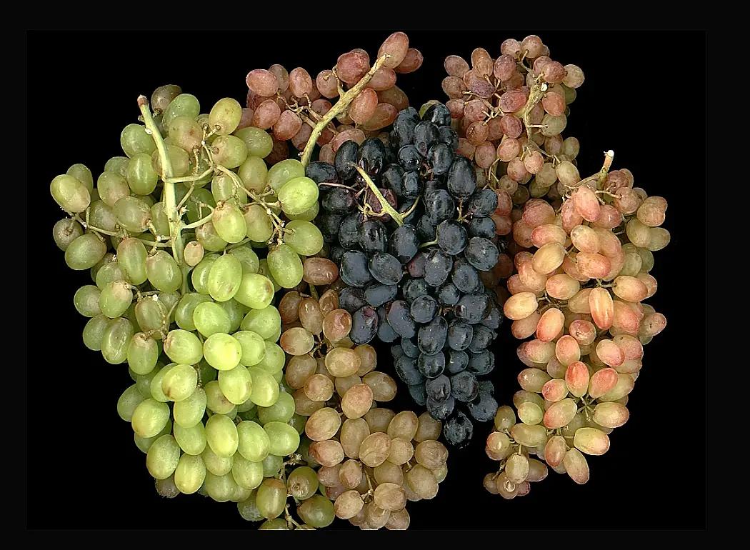 come-back druvor omslag