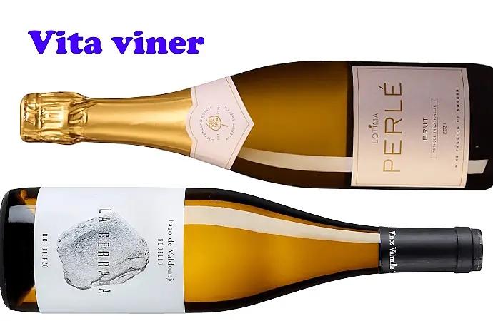 Come-back-druvor att hålla ögonen på