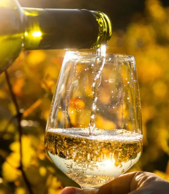 Tyska viner ändrar sina vinbeteckningar