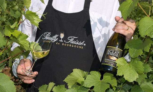 Pouilly-Fuissé-omslagsbild-man-bland-vilöv-med-flaska-och-glas