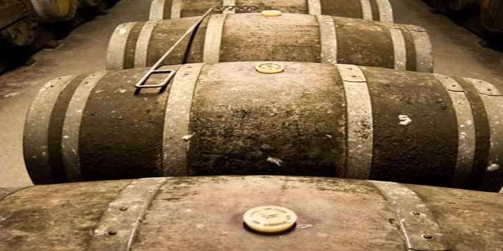 wine-barrels-in-cellar