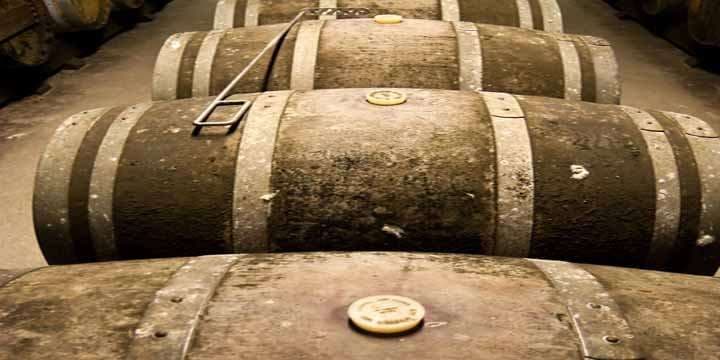 wine-barrels-in-cellar