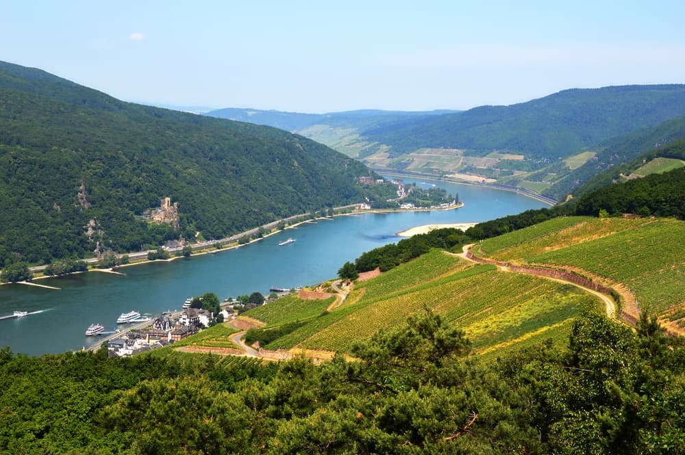 rhine-valley-in-rudesheim