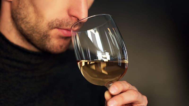 Gavi och Friuli - omslag