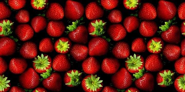26_itemthemeimage_4966-jpg