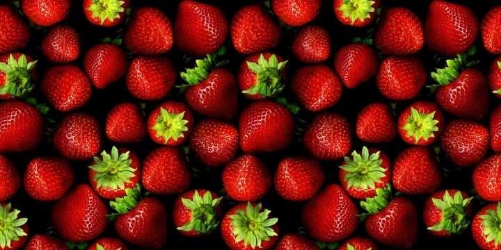 26_itemthemeimage_4966-jpg