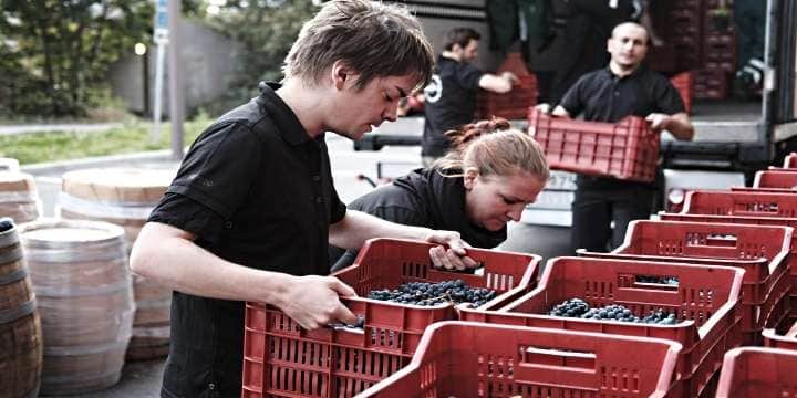 winery_front