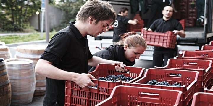 winery_front