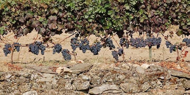 26_itemthemeimage_5130-jpg