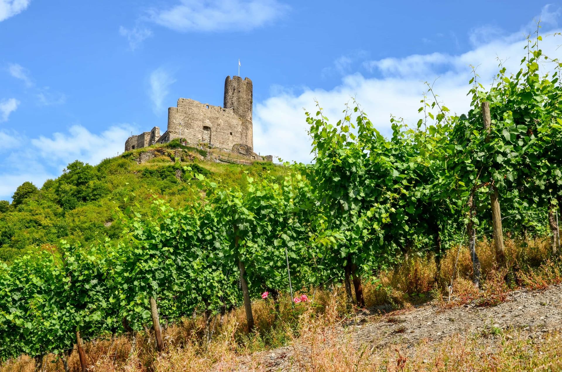 mosel_landshut_castle