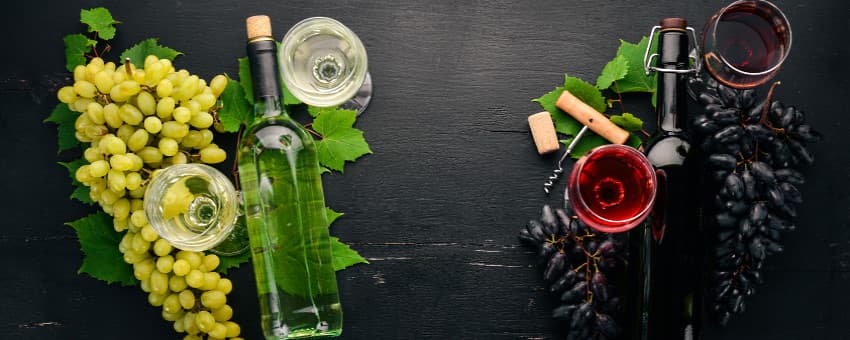 köttgryta och vintips