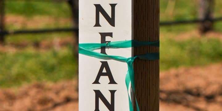 zinfandel-wine-marker
