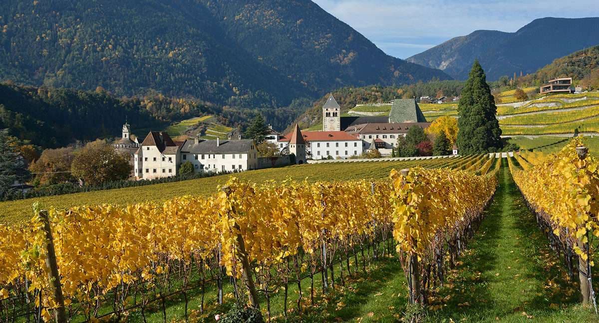 alto adige vinregion i norra italien