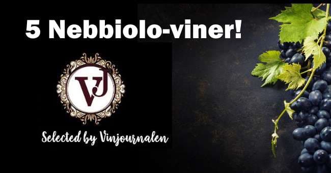 Nebbiolo omslagsbild druvor