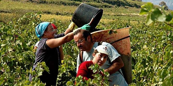 pickers