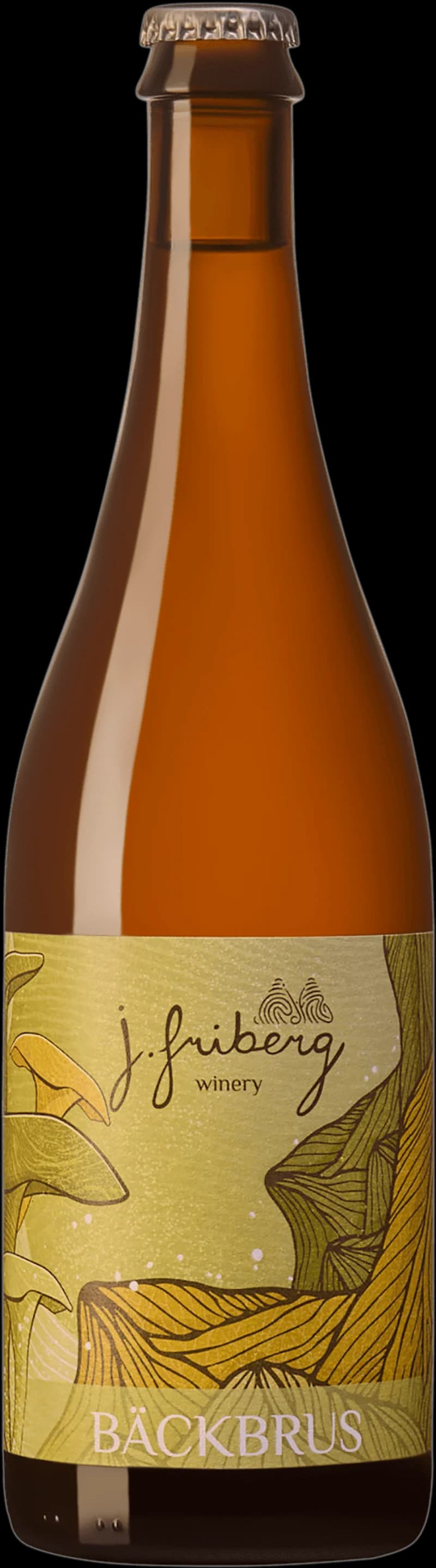 Flaska och glas med mousserande vin på en sten vid en porlande bäck