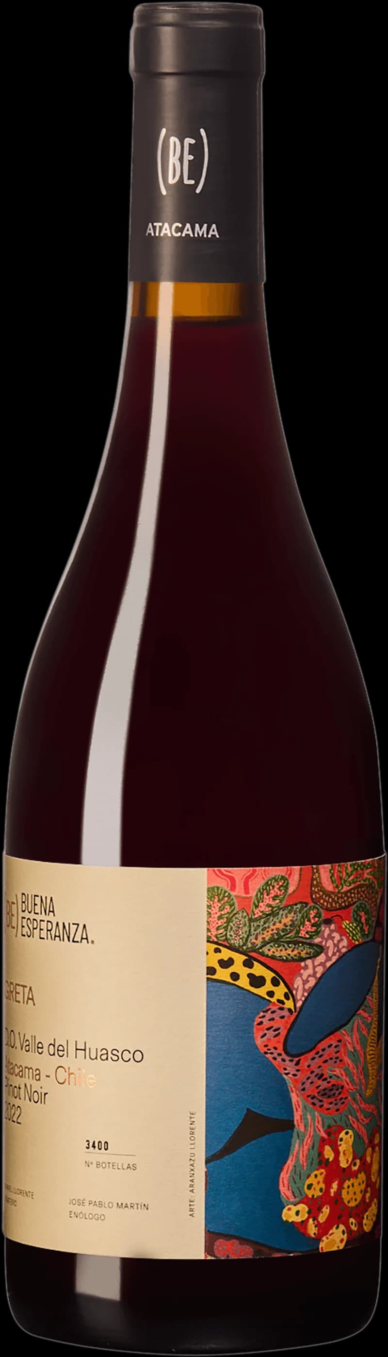 Flaska Buena Esperanza rött vin mot en ljus bakgrund