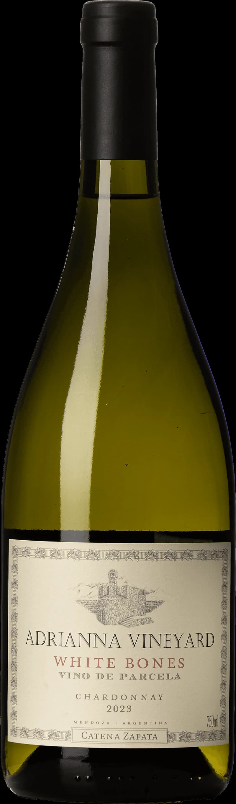 Flaska Catena Zapata vitt vin från Argentina, fotograferad mot neutral bakgrund