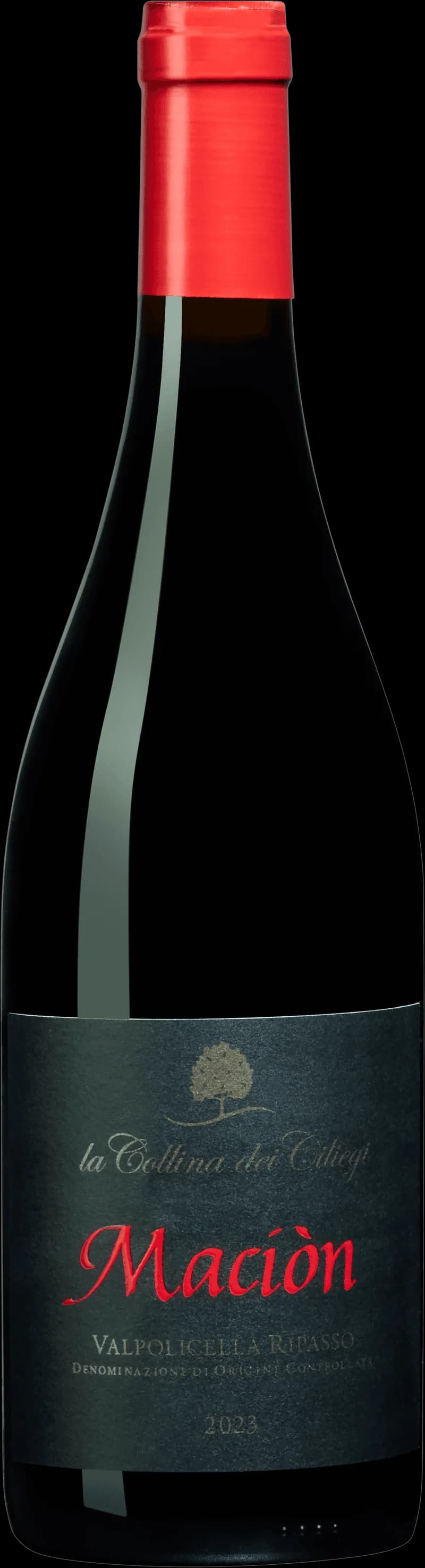 Maci tillsammans med ett glas rött vin