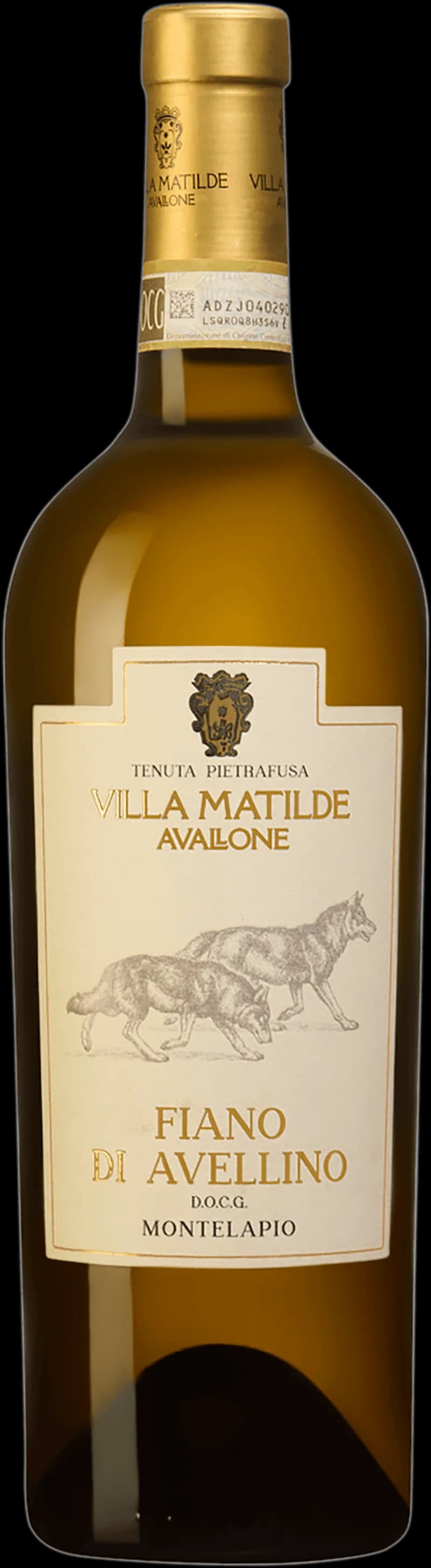 Flaska Montelapio Fiano di Avellino, ett vitt vin från Kampanien i Italien
