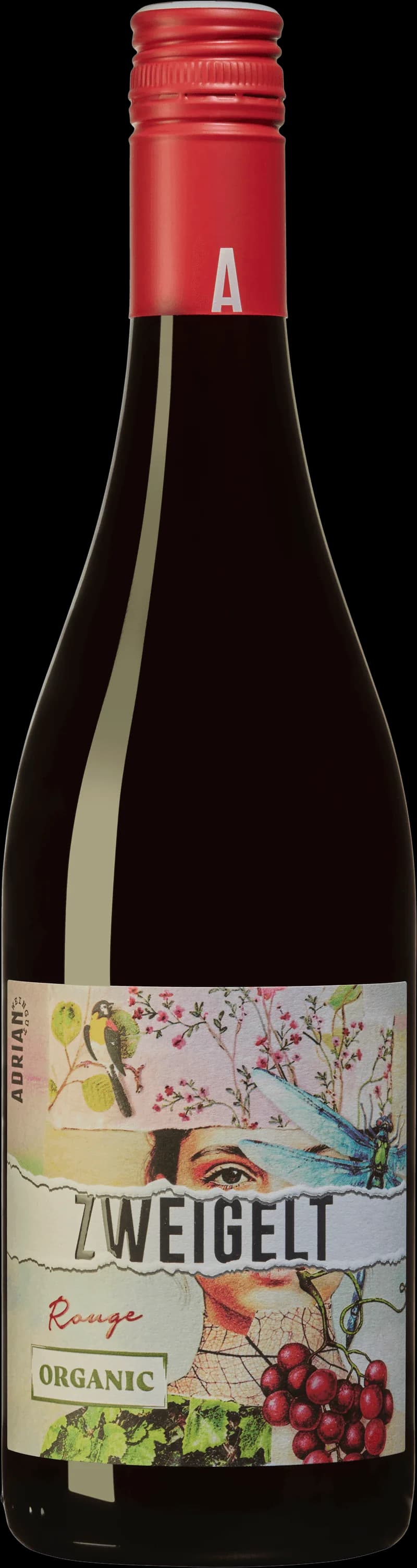 Flaska och glas med rött vin av druvan Zweigelt