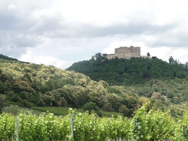 pfalz