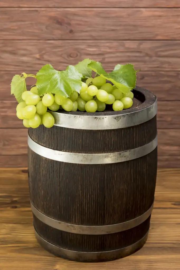 Meursault – en By och ett Vin