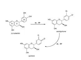 Hur smakar oxiderat vin?