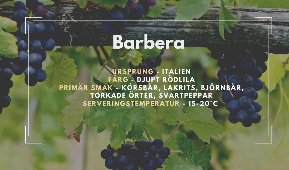 Allmän information om Barbera