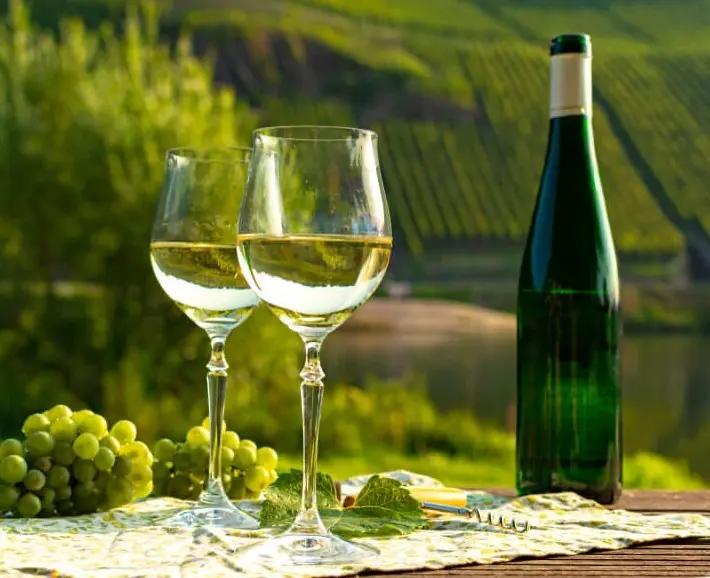 Vad är skillnaden på Riesling och Chardonnay?