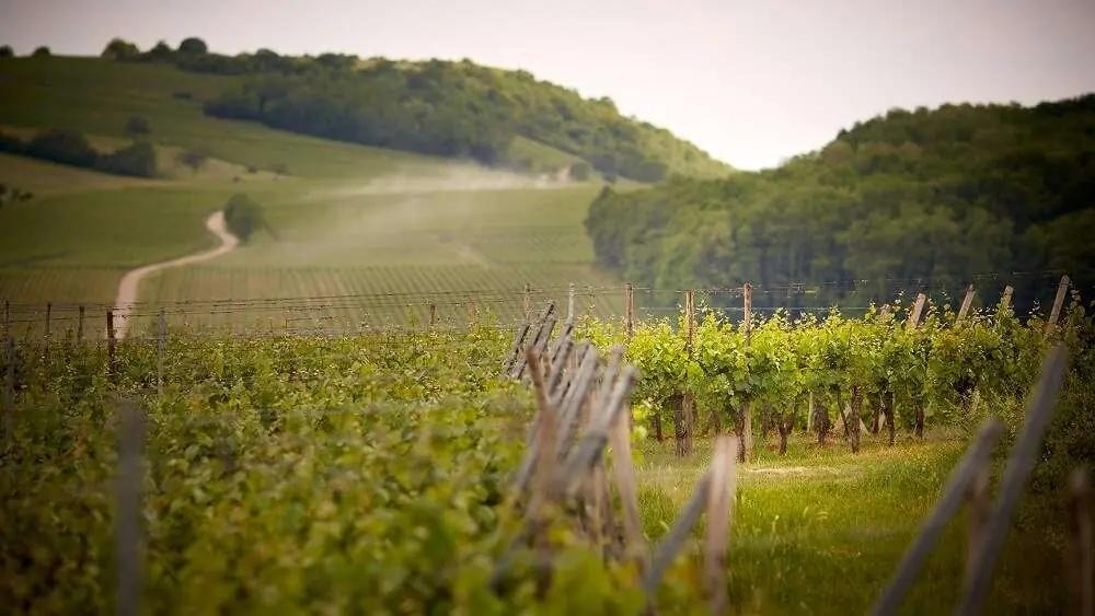 Alsace, Frankrikes minsting