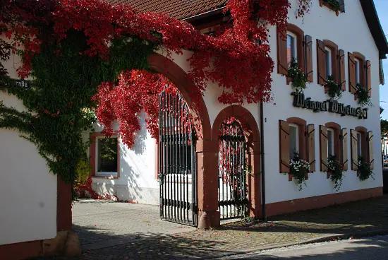 Pinot Noir - Wilhelmshof ett fint hus