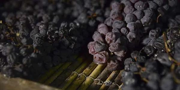 Ripasso - torkade druvor