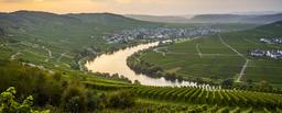 Mosel – där Riesling-vinerna är de bästa! Mosel – där Riesling-vinerna är de bästa!