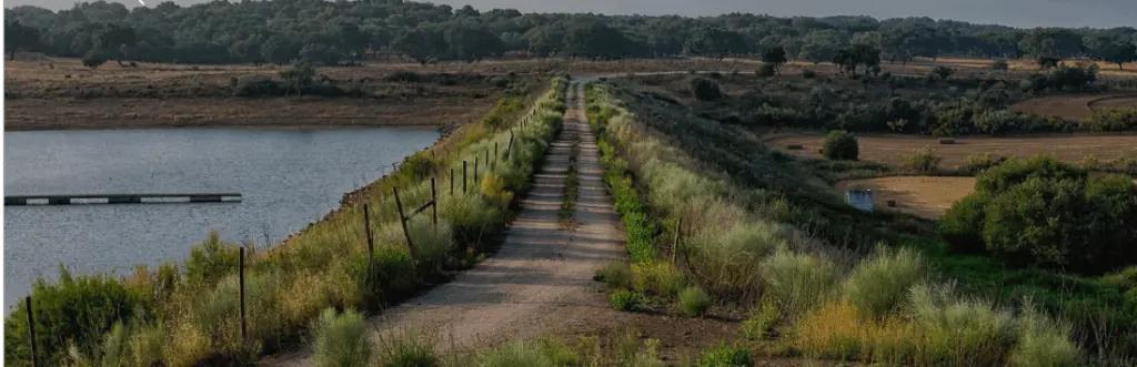 Herdade Da Coelheiros - en vingård som försöker vara skonsam mot naturen