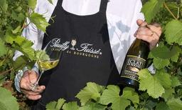 Välkommen till vinregionen Pouilly-Fuissé! Välkommen till vinregionen Pouilly-Fuissé!