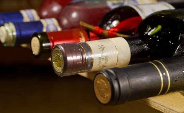 Vinlandet Chile – en mångfald i vin! Vinlandet Chile – en mångfald i vin!