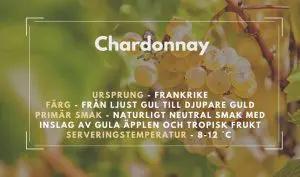 Chardonnay