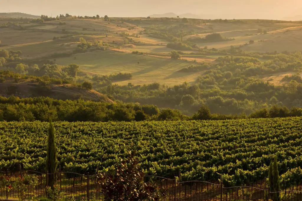 Vinregionerna Danubian plain och Struma valley
