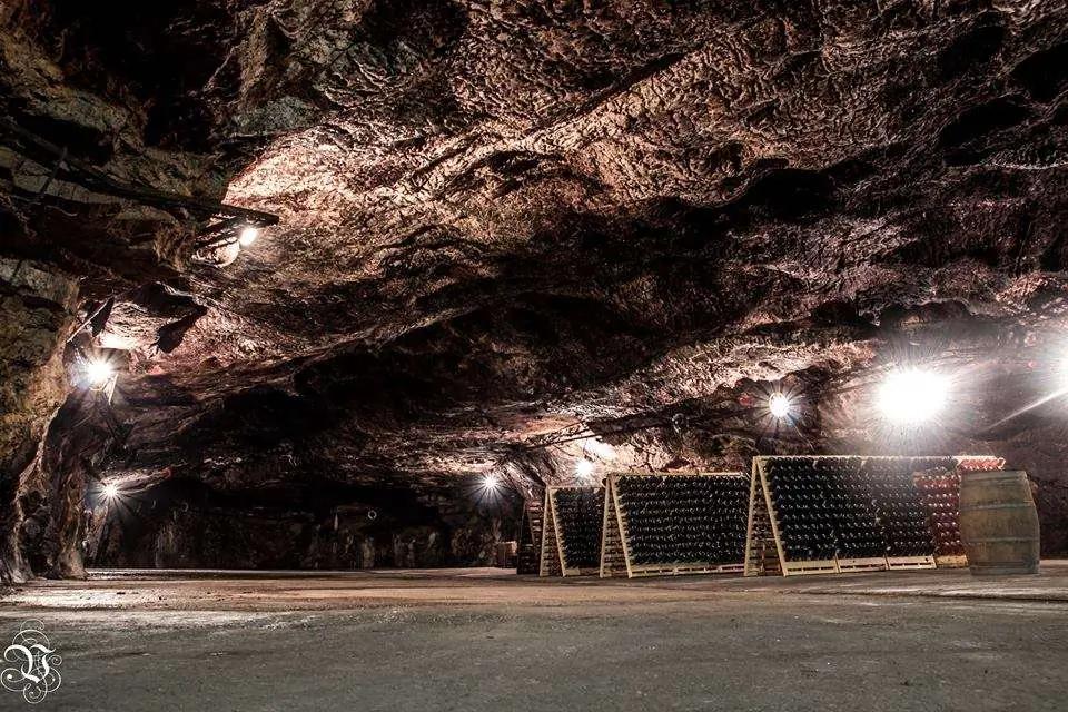 Vinregionerna Danubian plain och Struma valley